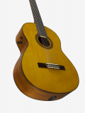 CG-TA TransAcoustic, зображення 11